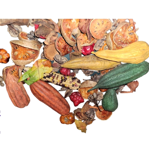 Dried Various Items Aprox 50 Items ( 1" to 4" each) - Picture 5 of 7